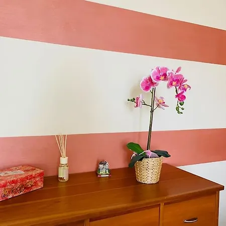 Lägenhet La Casa Di Aida *
